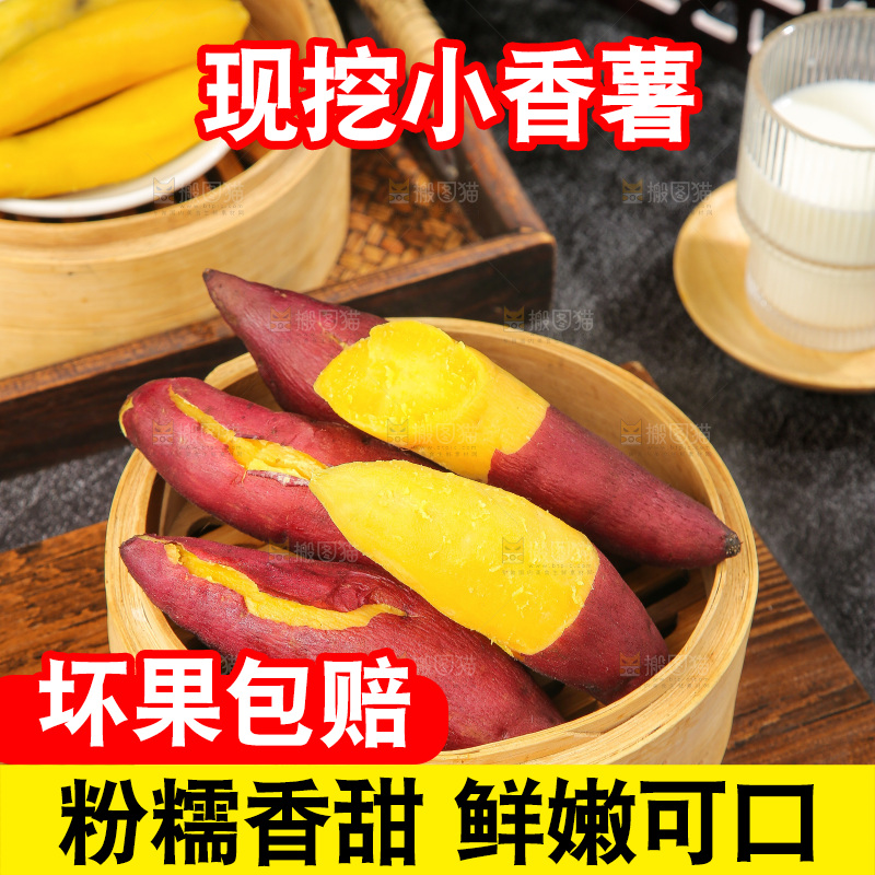 深底上的天目山小香薯