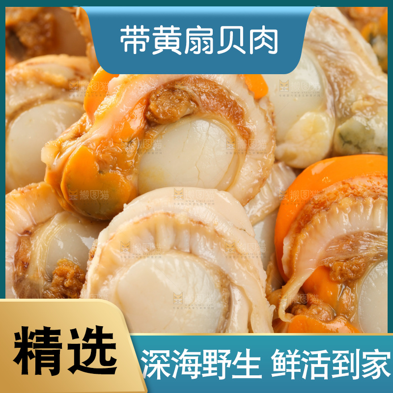 深底上的带黄扇贝肉