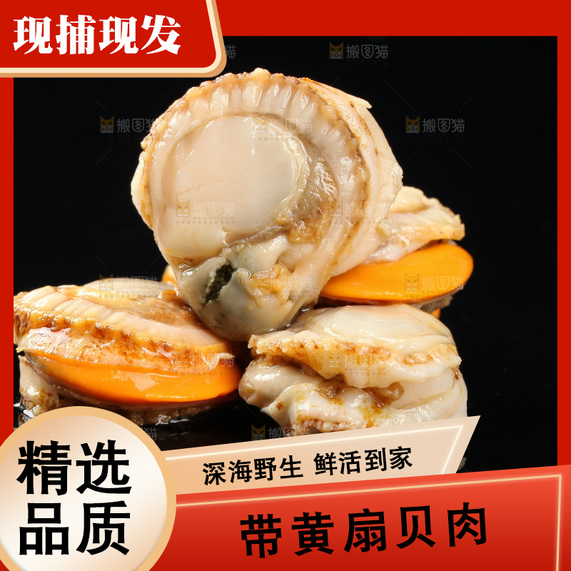 深底上的带黄扇贝肉