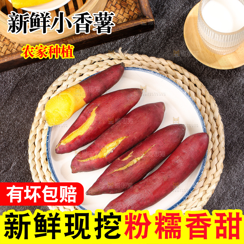 深底上的天目山小香薯