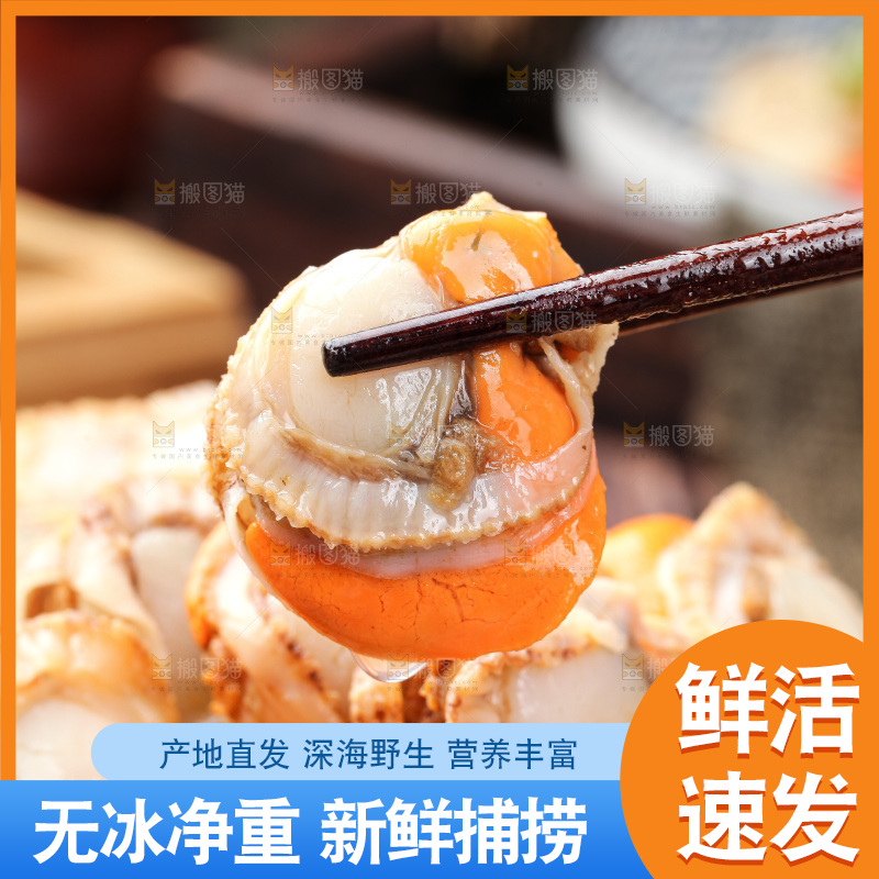 深底上的带黄扇贝肉
