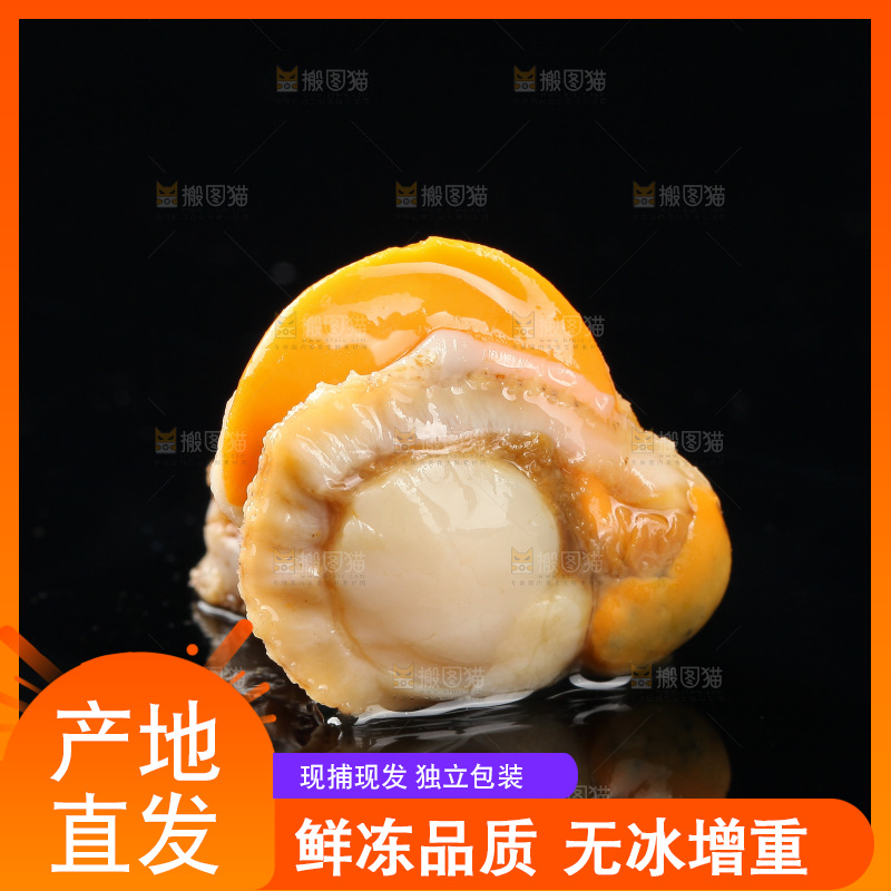 深底上的带黄扇贝肉