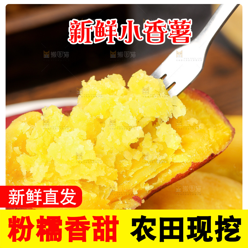 深底上的天目山小香薯
