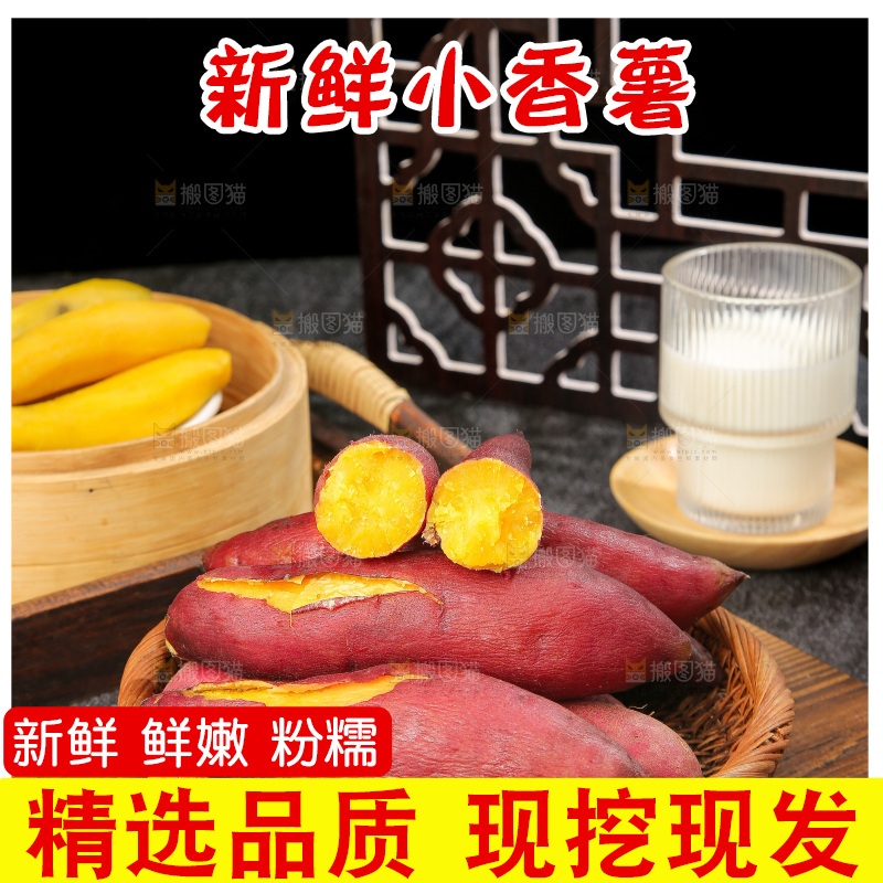 深底上的天目山小香薯