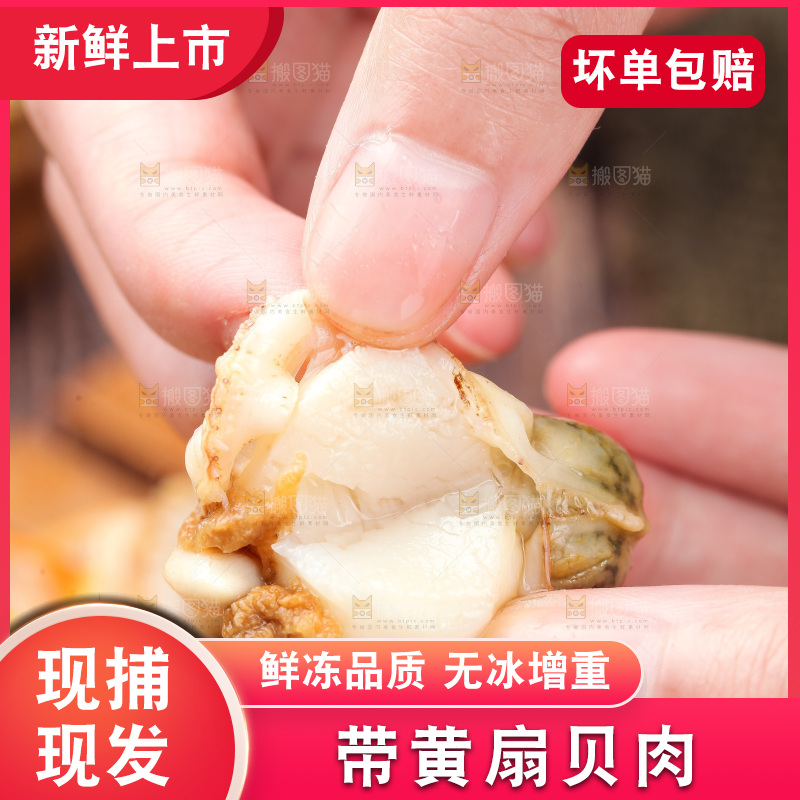 深底上的带黄扇贝肉