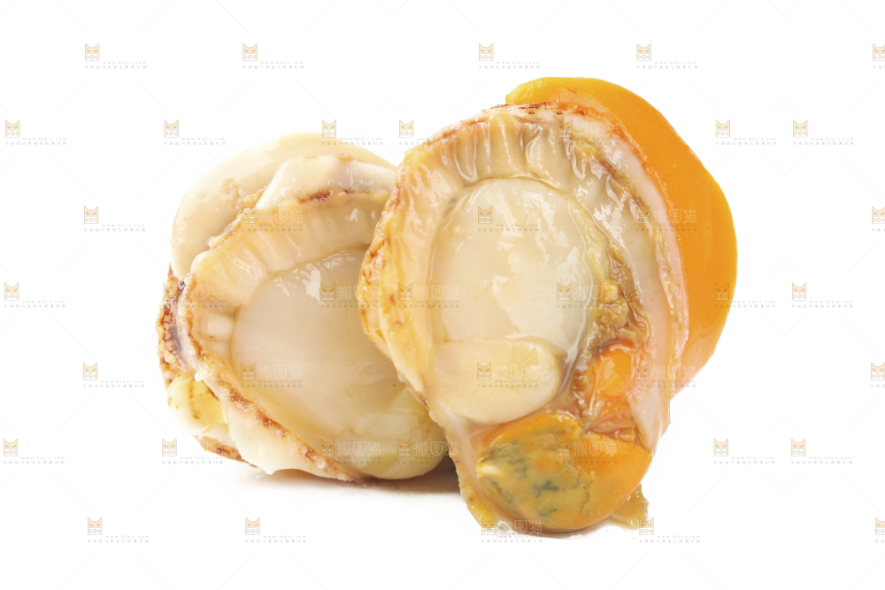 白底上的带黄扇贝肉