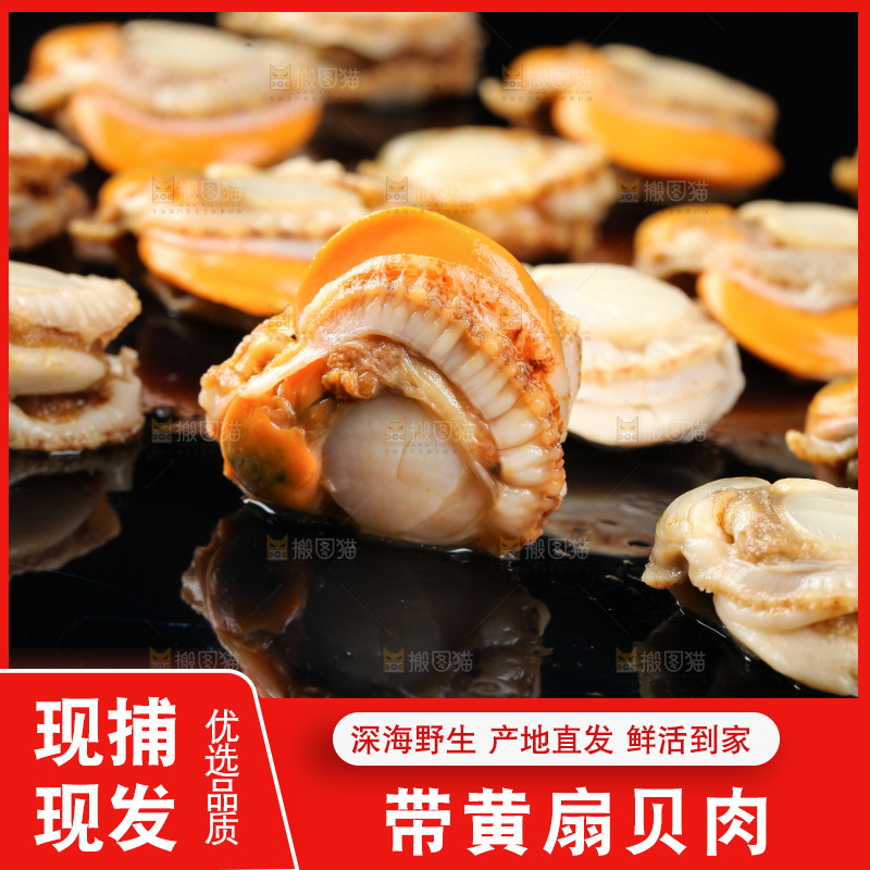 深底上的带黄扇贝肉