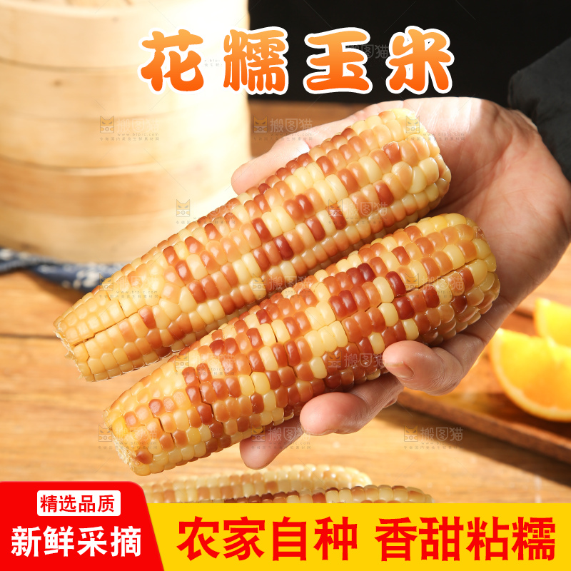 深底上的花糯玉米