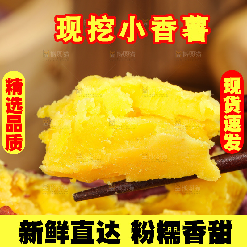 深底上的天目山小香薯