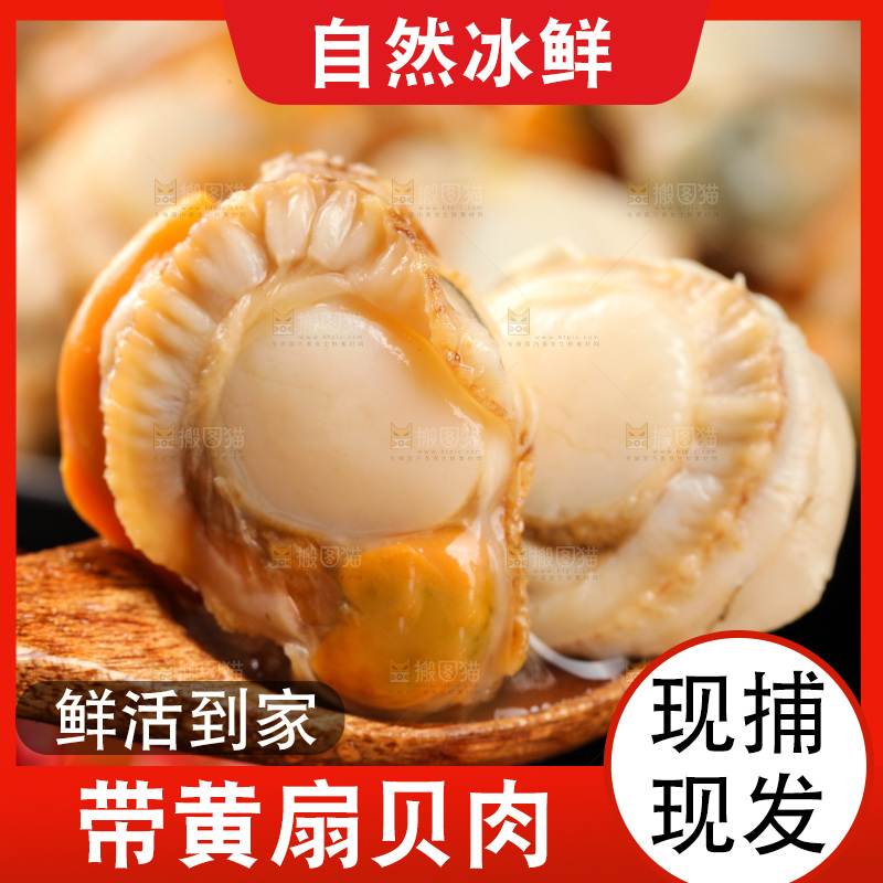 深底上的带黄扇贝肉