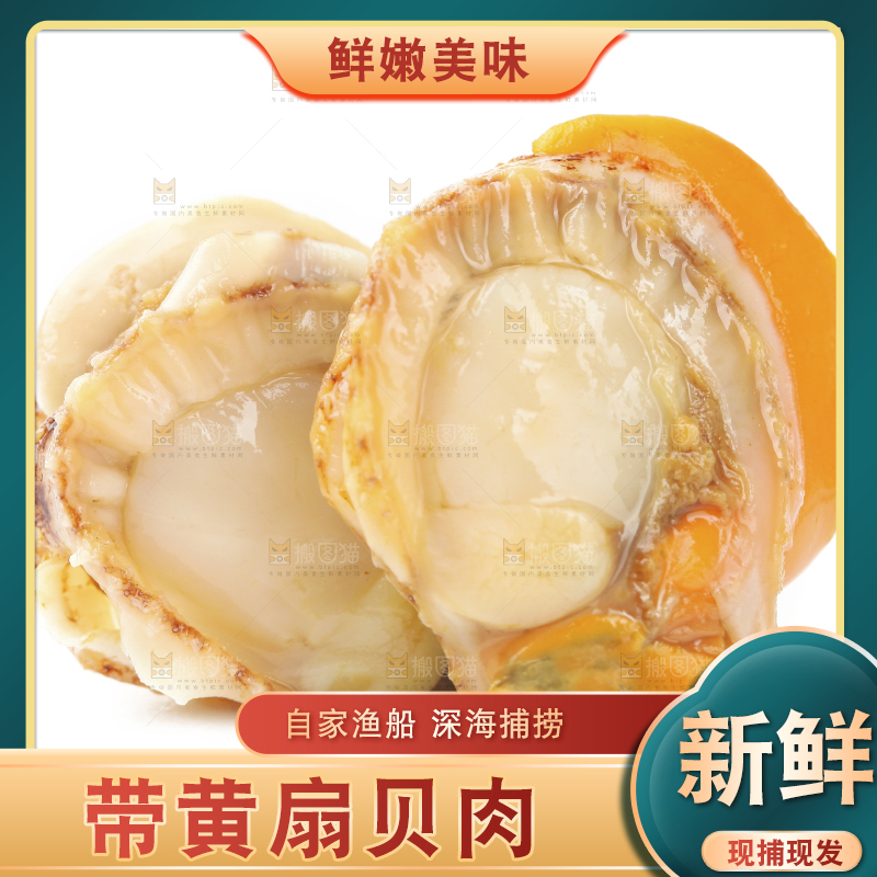 白底上的带黄扇贝肉
