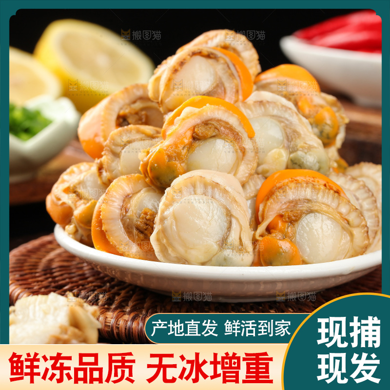 深底上的带黄扇贝肉
