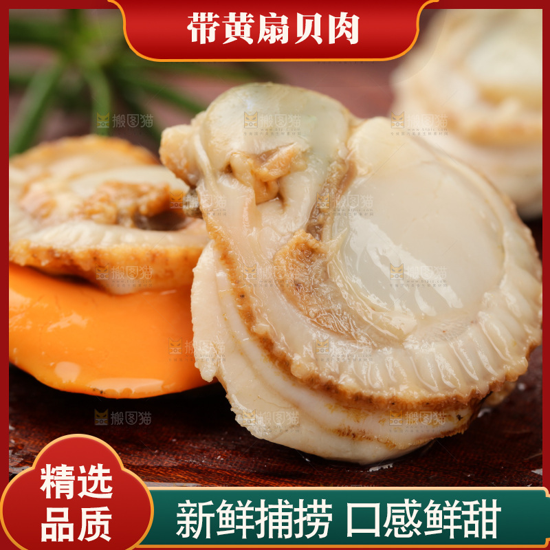 深底上的带黄扇贝肉