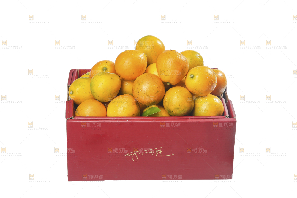 白底上的金柑