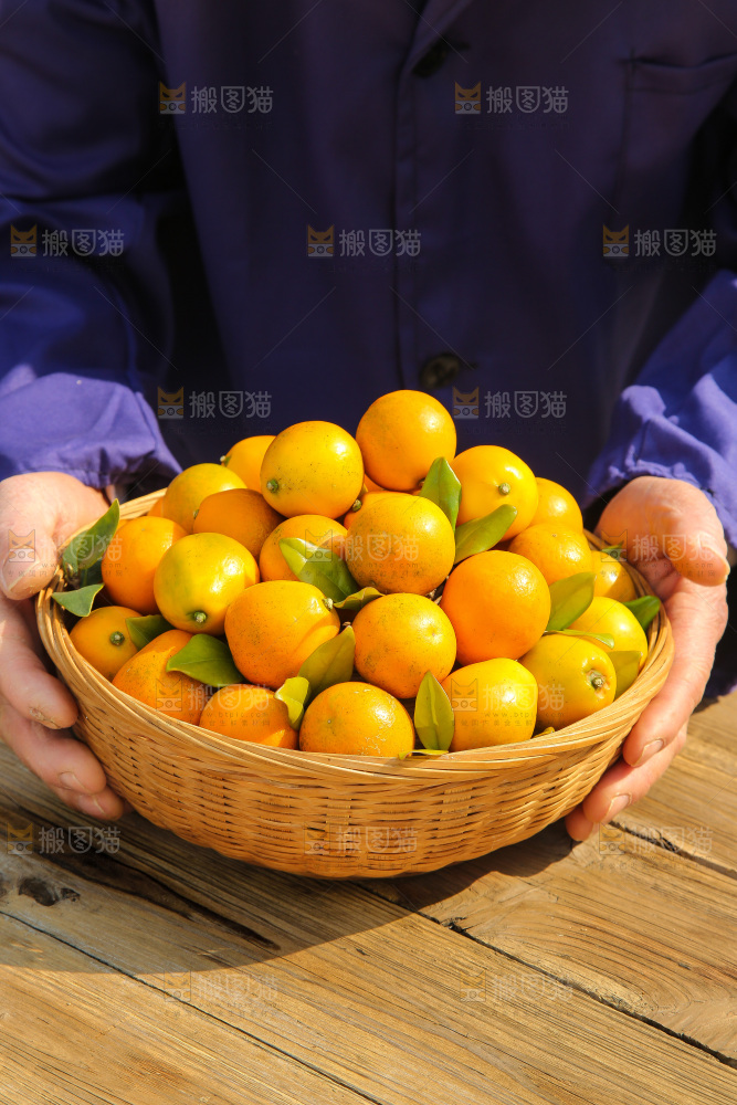 木底上的脆蜜金柑