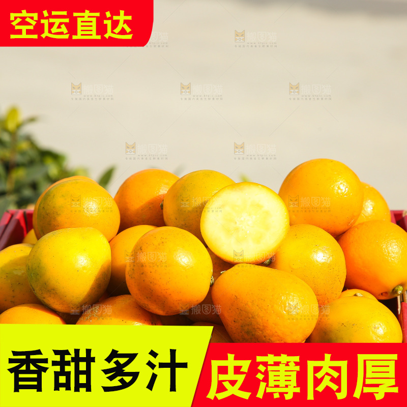 手里拿着脆蜜金柑