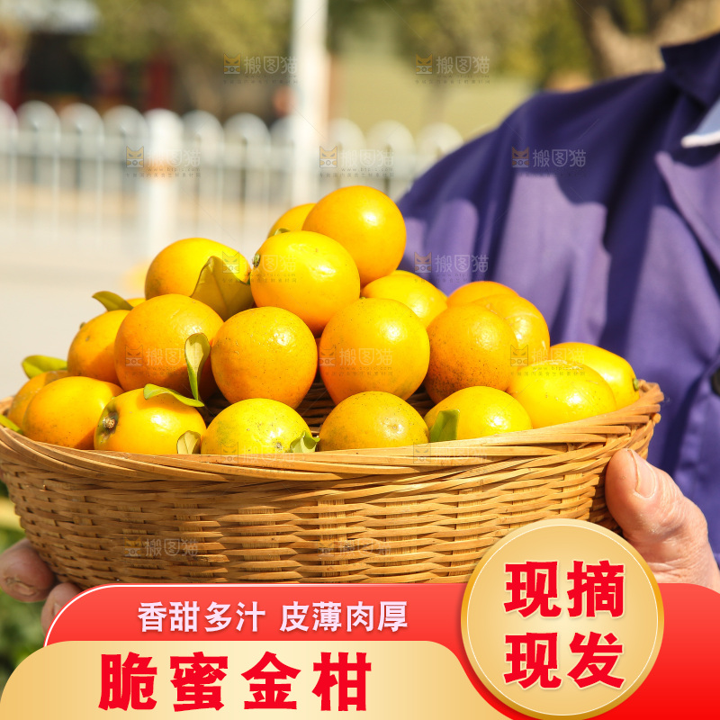 手里拿着脆蜜金柑