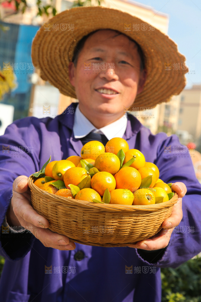 手里拿着脆蜜金柑