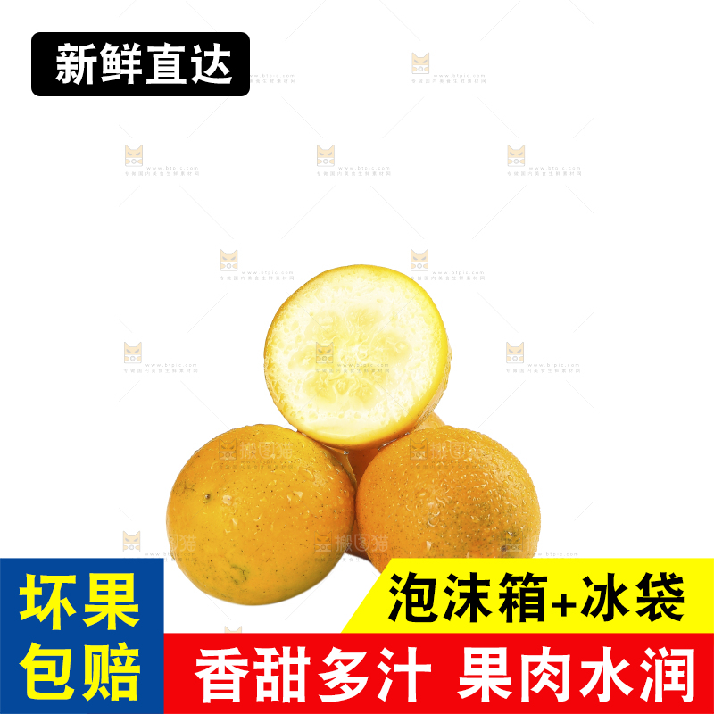 白底上的金柑