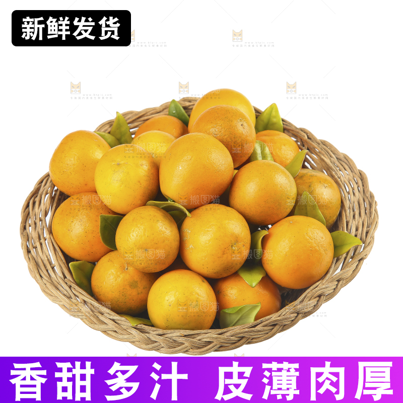 白底上的金柑