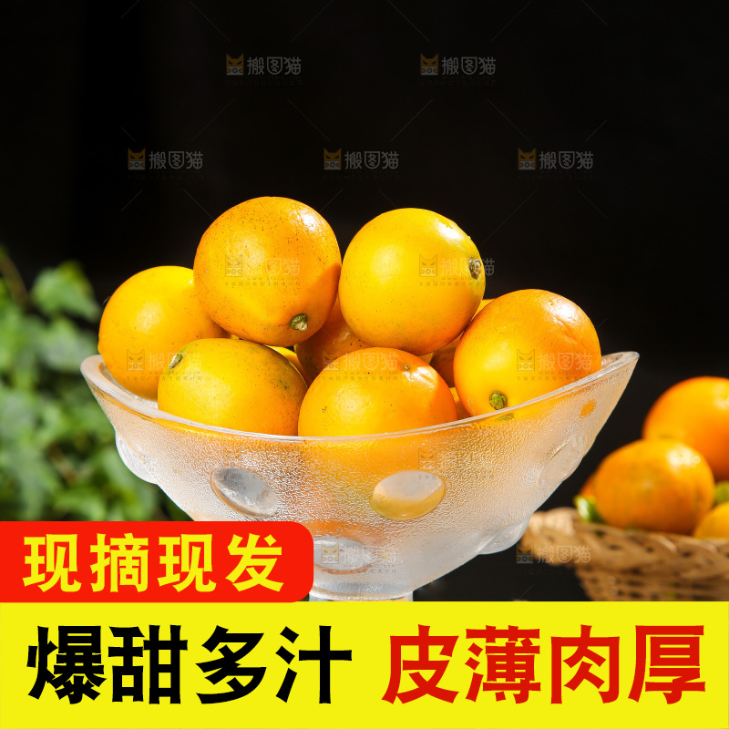 木底上的脆蜜金柑
