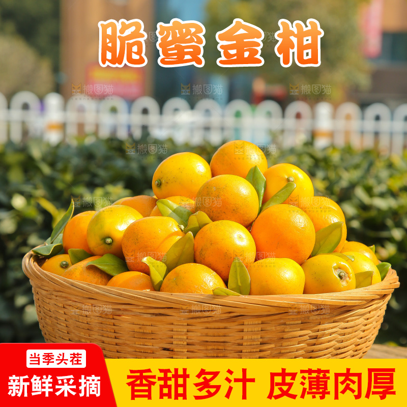 木底上的脆蜜金柑