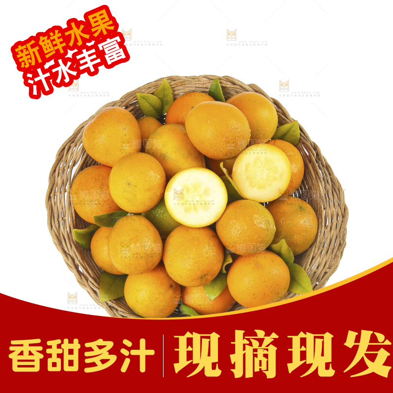 白底上的金柑
