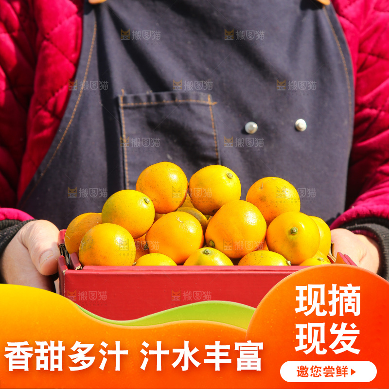 手里拿着脆蜜金柑