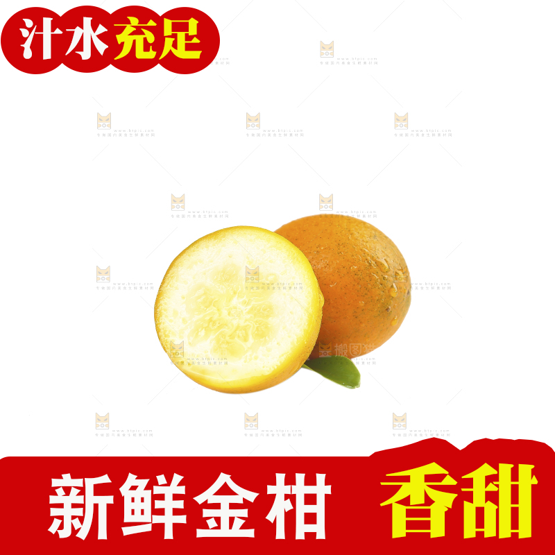 白底上的金柑