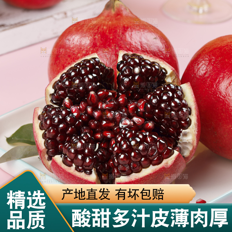 浅底上的黒籽酸石榴