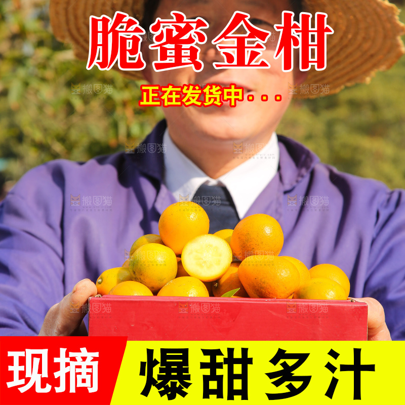 手里拿着脆蜜金柑