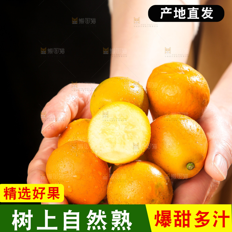 木底上的脆蜜金柑