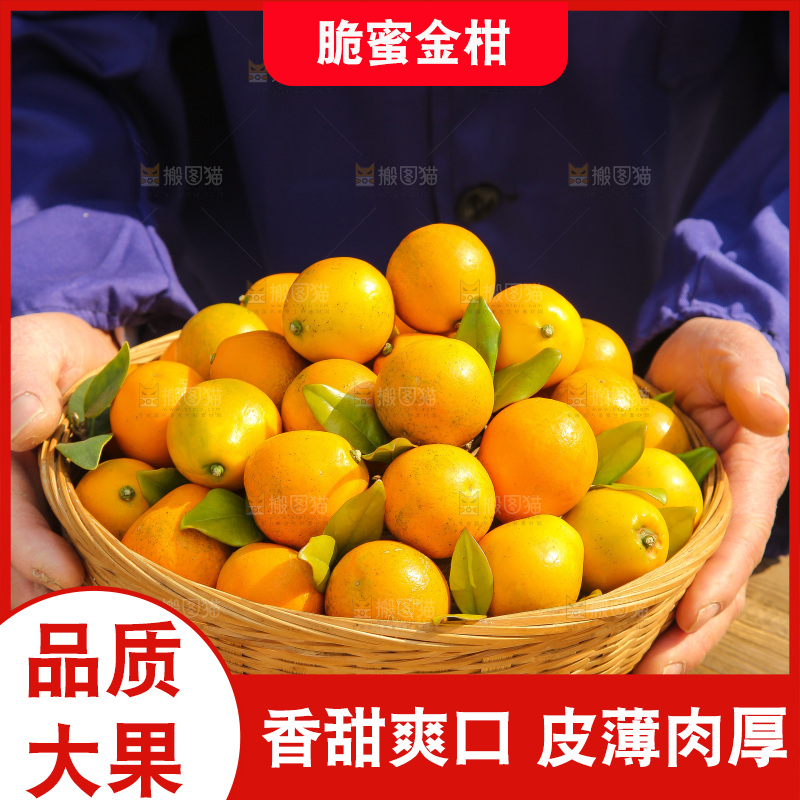 木底上的脆蜜金柑