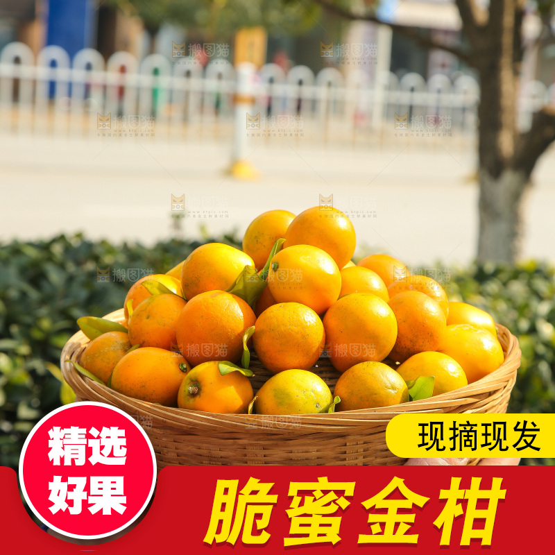 手里拿着脆蜜金柑