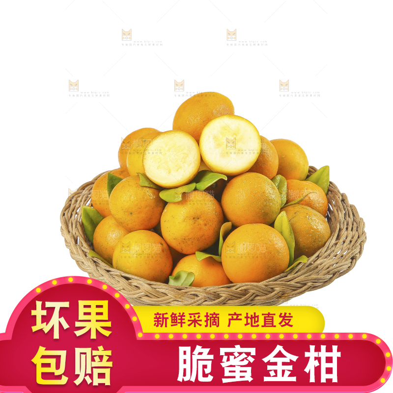 白底上的金柑