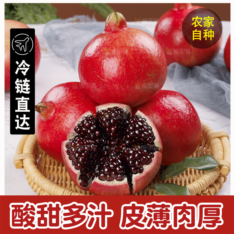 浅底上的黒籽酸石榴