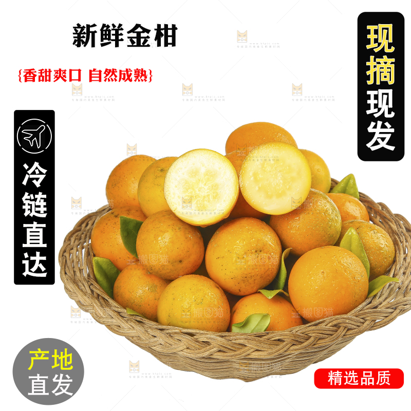 白底上的金柑
