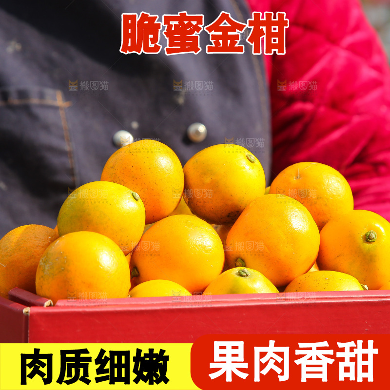 手里拿着脆蜜金柑