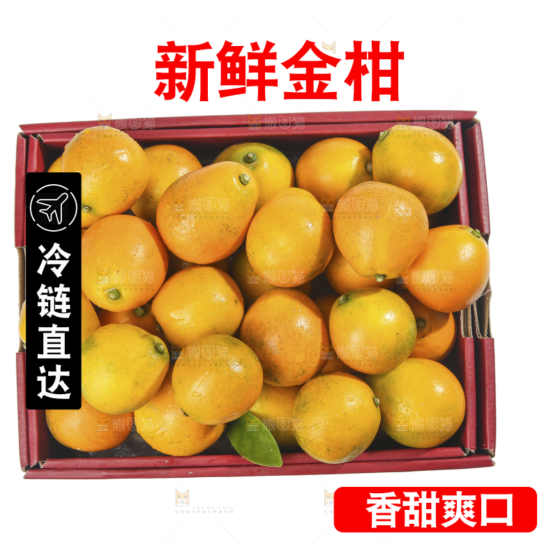 白底上的金柑