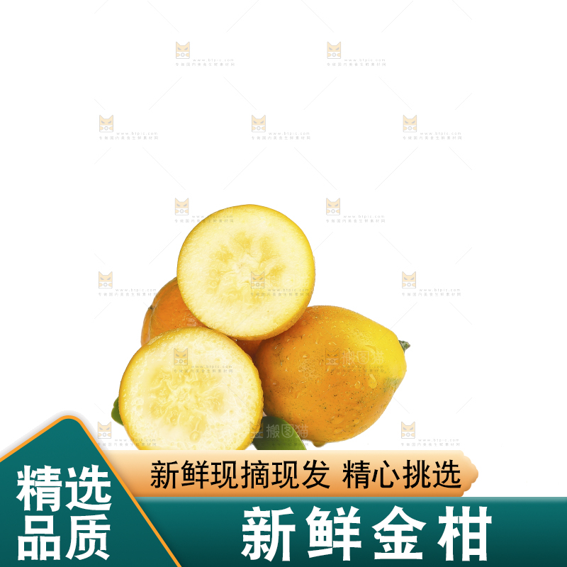 白底上的金柑