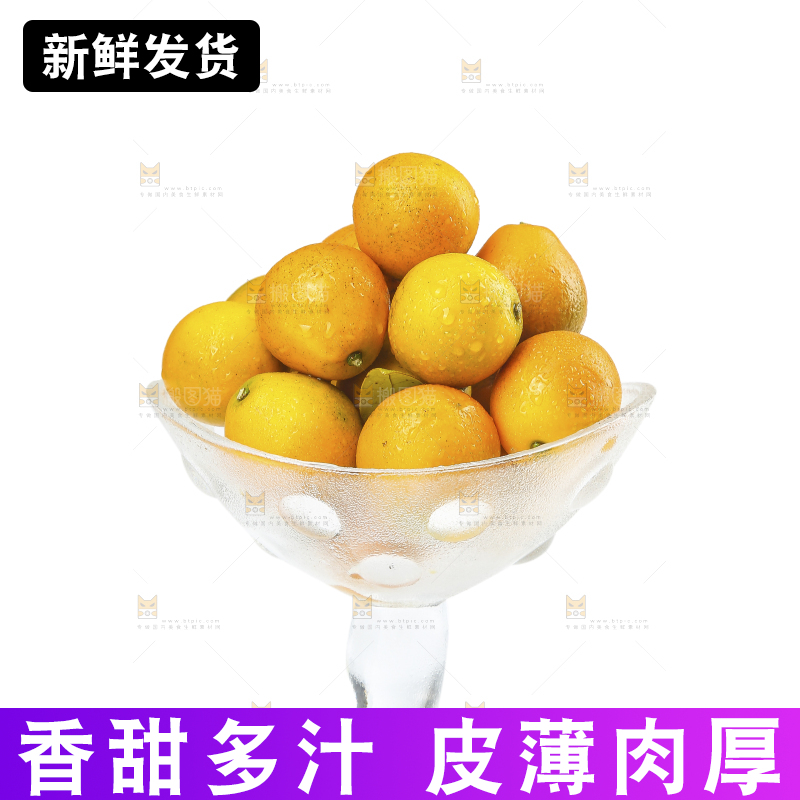白底上的金柑