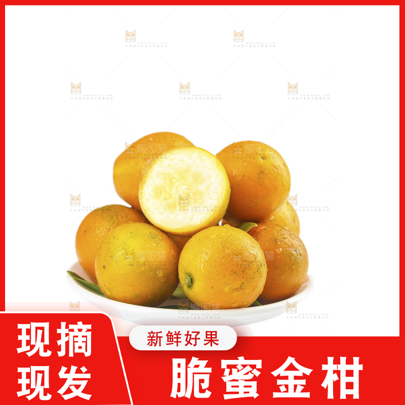 白底上的金柑