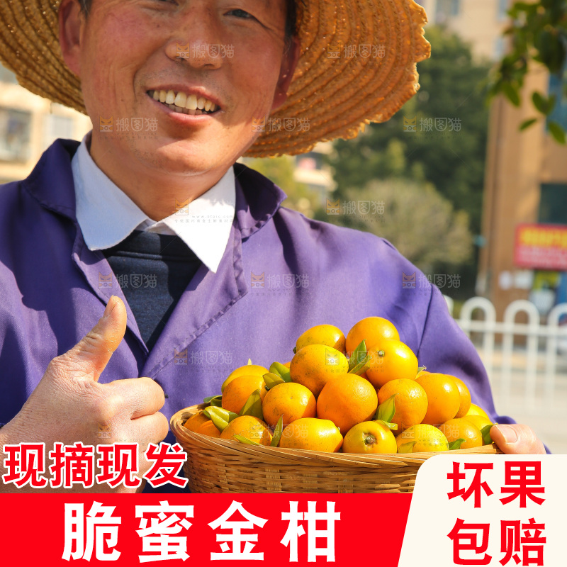 手里拿着脆蜜金柑