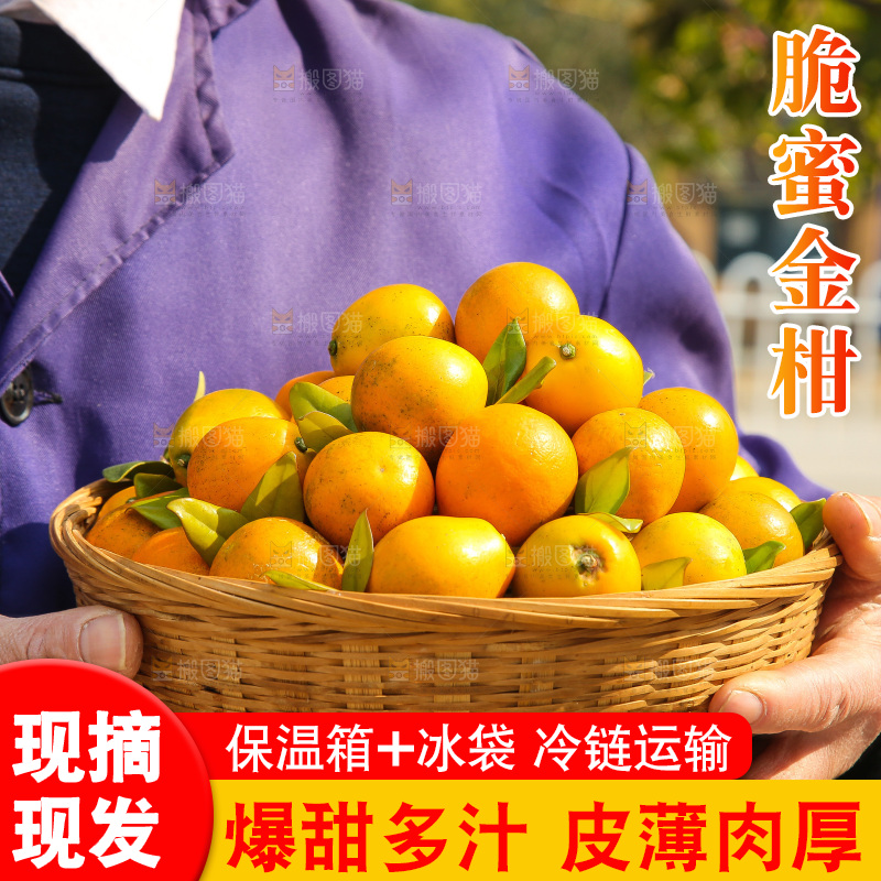 手里拿着脆蜜金柑