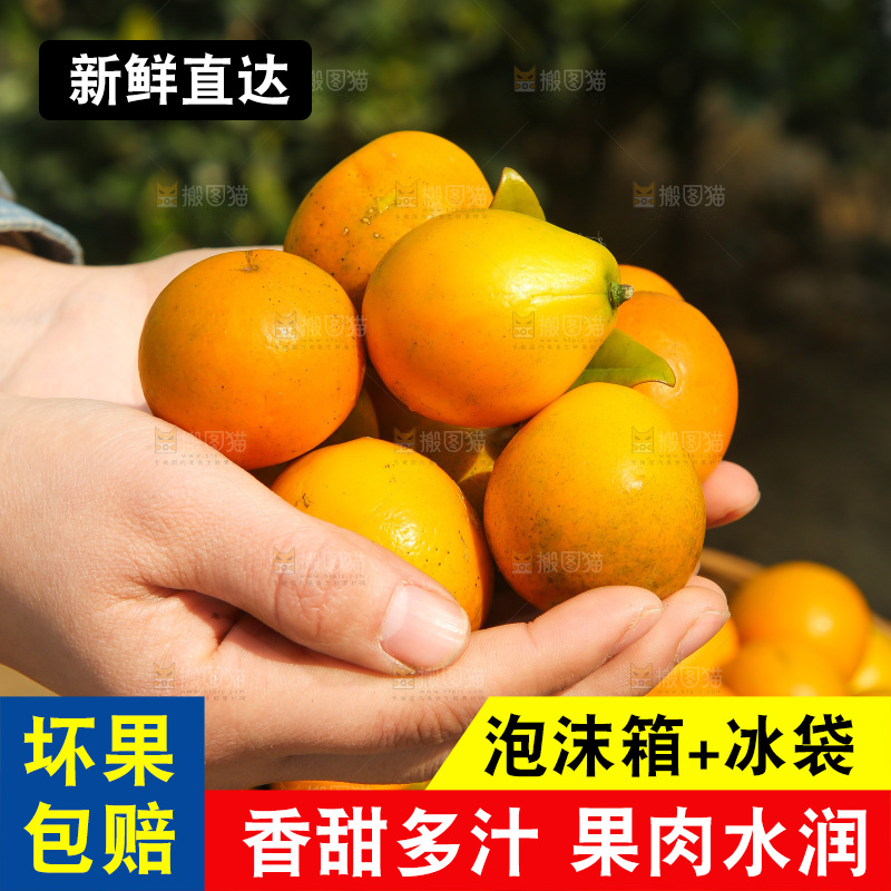 木底上的脆蜜金柑
