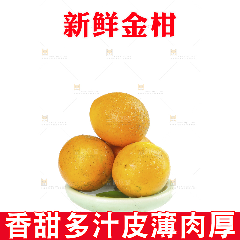 白底上的金柑