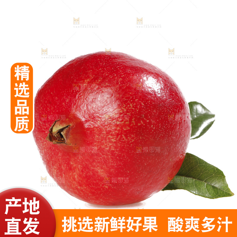 白底上的黒籽酸石榴
