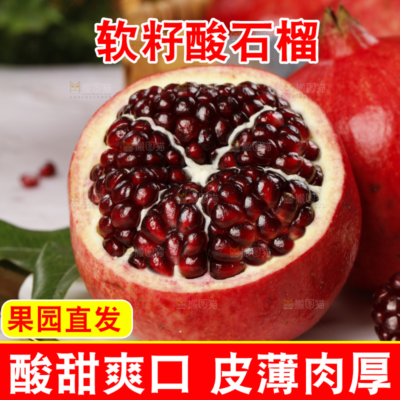 浅底上的黒籽酸石榴