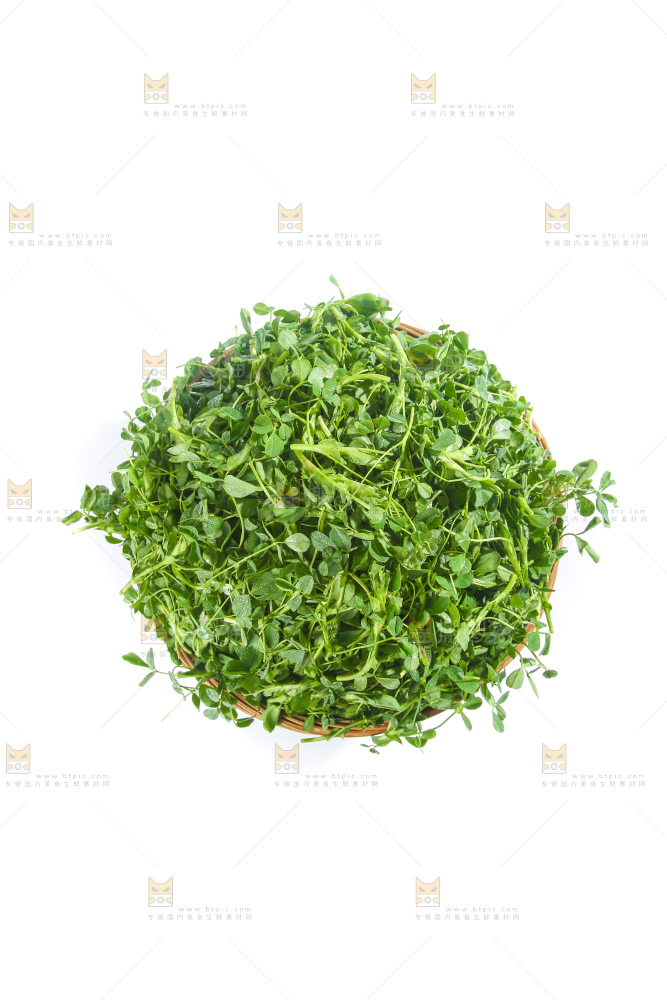白底上的苜蓿菜