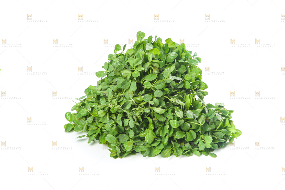 白底上的苜蓿菜